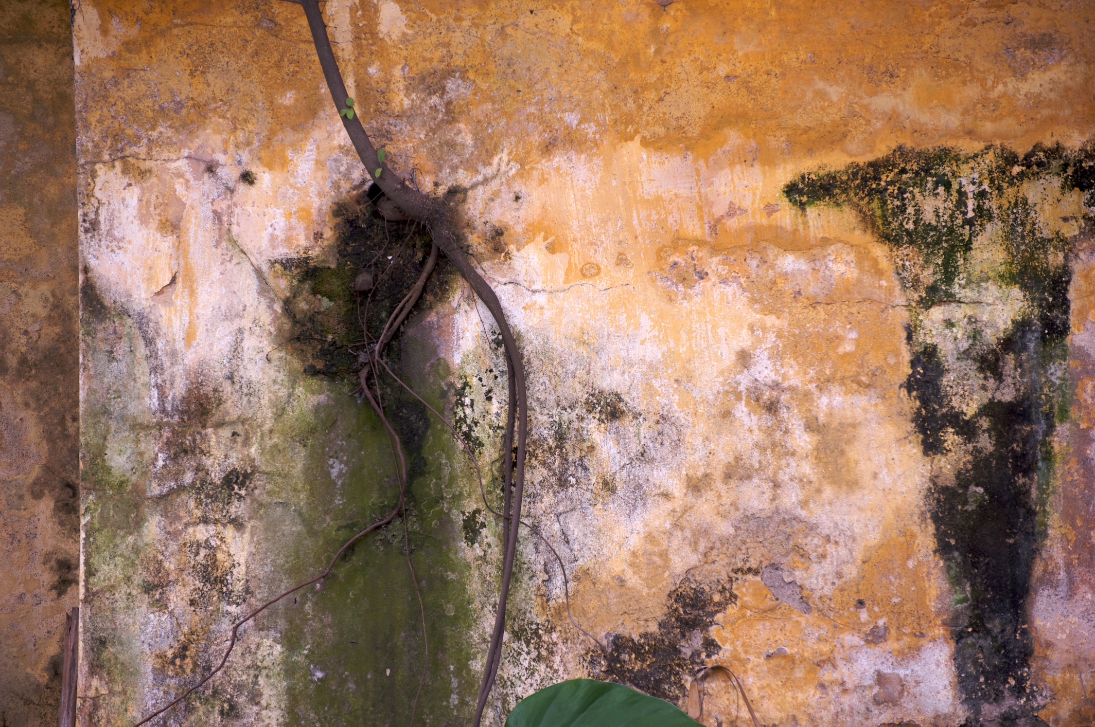 Painting the town yellow