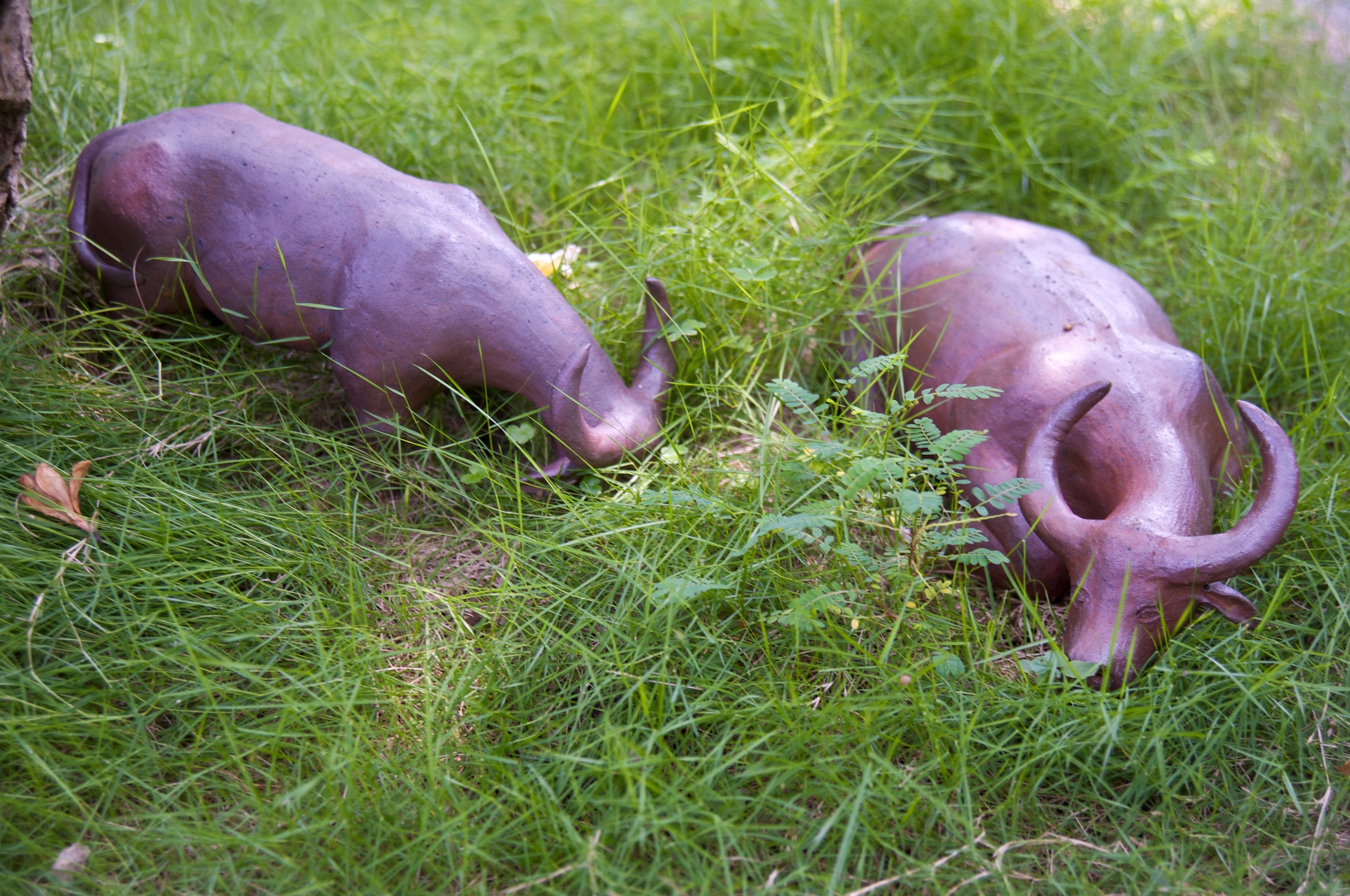 Sleeping in the meadow